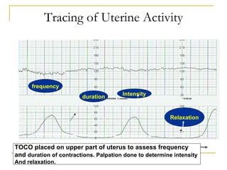 uterine softness palpation test|uterus activity evaluation pdf.